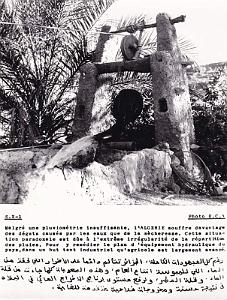 Algerie propagande 077